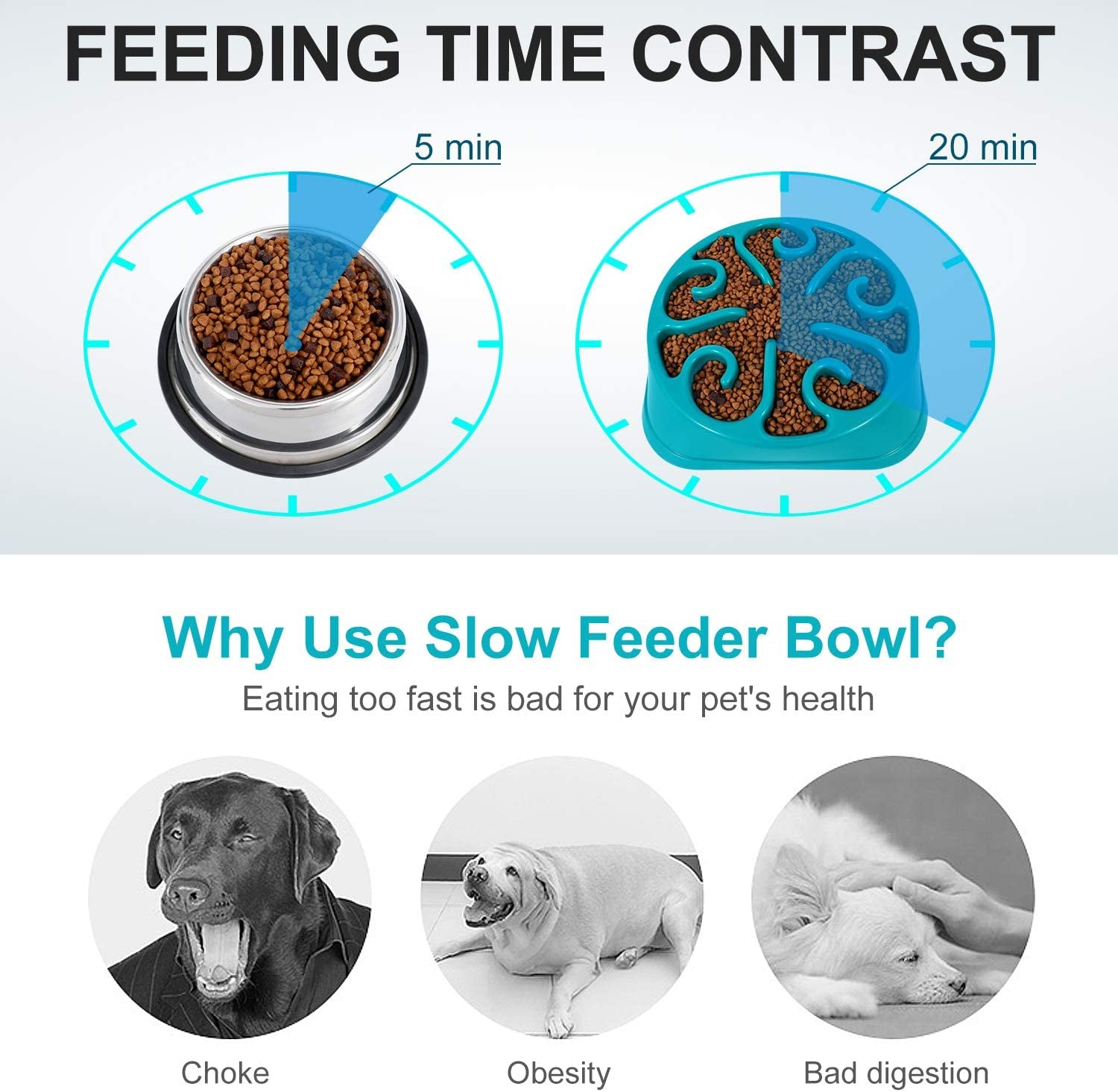 Revolutionary Slow Feeder Dog Bowl for Large Breeds - Anti-Gulping, Eco-Friendly Design in Blue