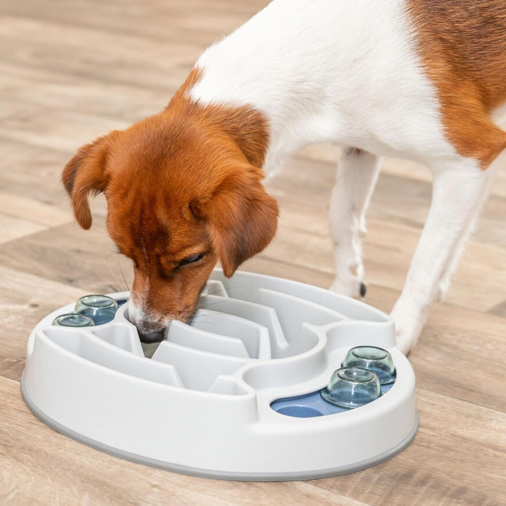 Engaging Slide & Feed Dog Activity Toy - Level 1 Food Puzzle for Smart Dogs | Brain Teasing Treat Dispenser for Mental Development and Boredom Busting