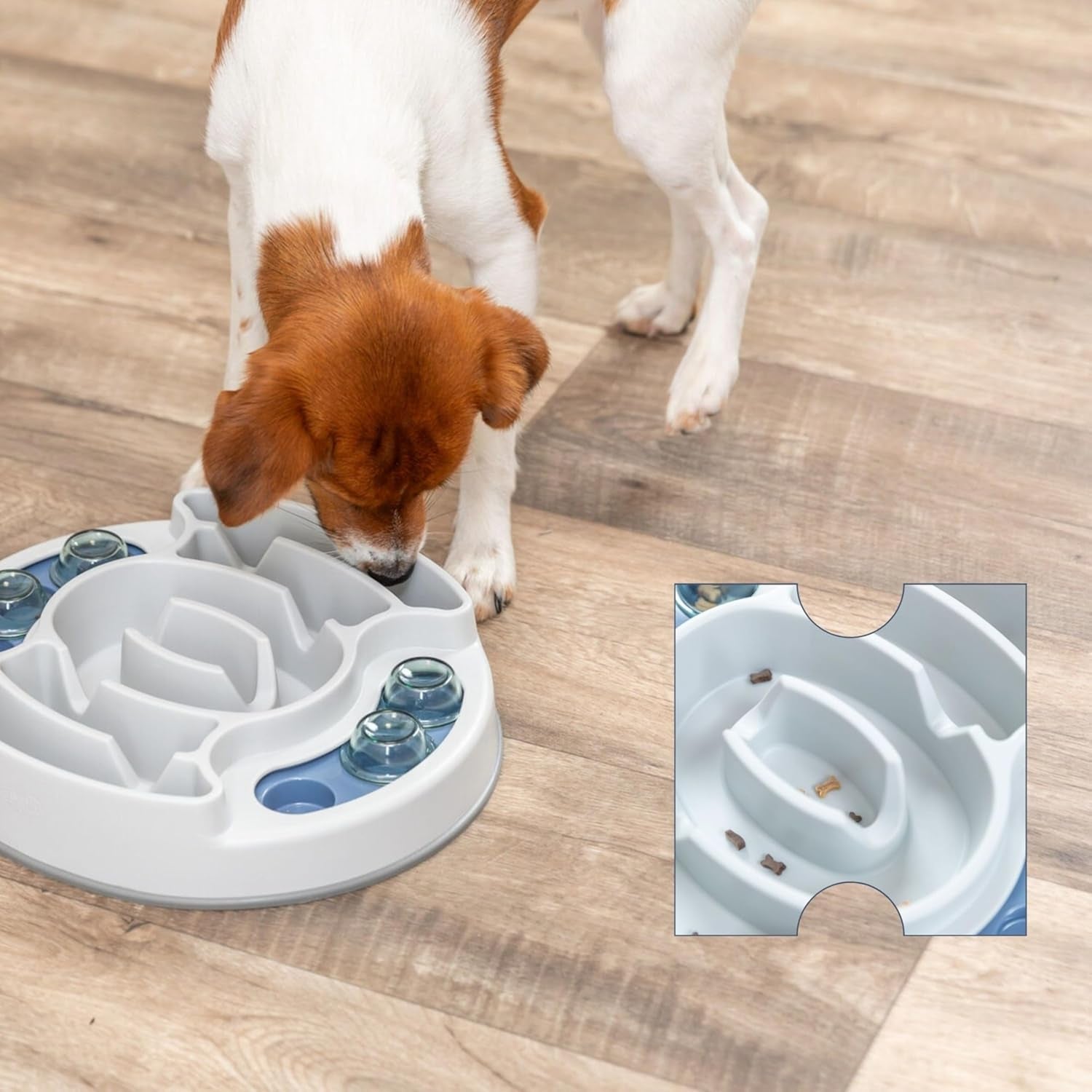 Engaging Slide & Feed Dog Activity Toy - Level 1 Food Puzzle for Smart Dogs | Brain Teasing Treat Dispenser for Mental Development and Boredom Busting