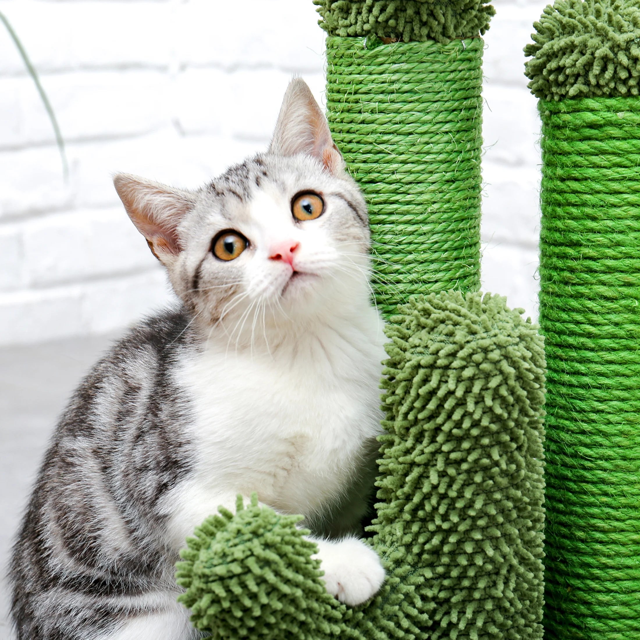 Transform Your Cat's Playtime with the 23" Cactus Cat Scratching Post – Fun, Durable, and Stylish!