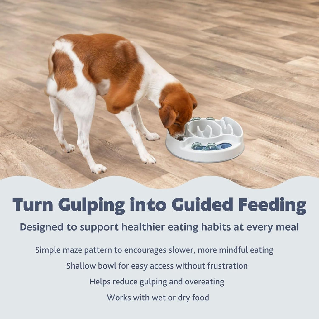 Engaging Slide & Feed Dog Activity Toy - Level 1 Food Puzzle for Smart Dogs | Brain Teasing Treat Dispenser for Mental Development and Boredom Busting