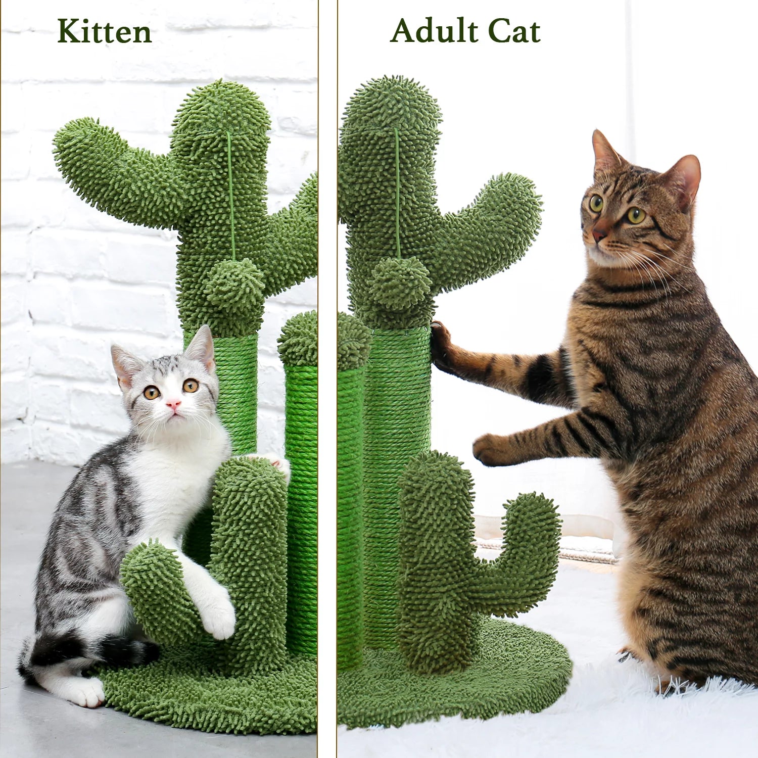 Transform Your Cat's Playtime with the 23" Cactus Cat Scratching Post – Fun, Durable, and Stylish!