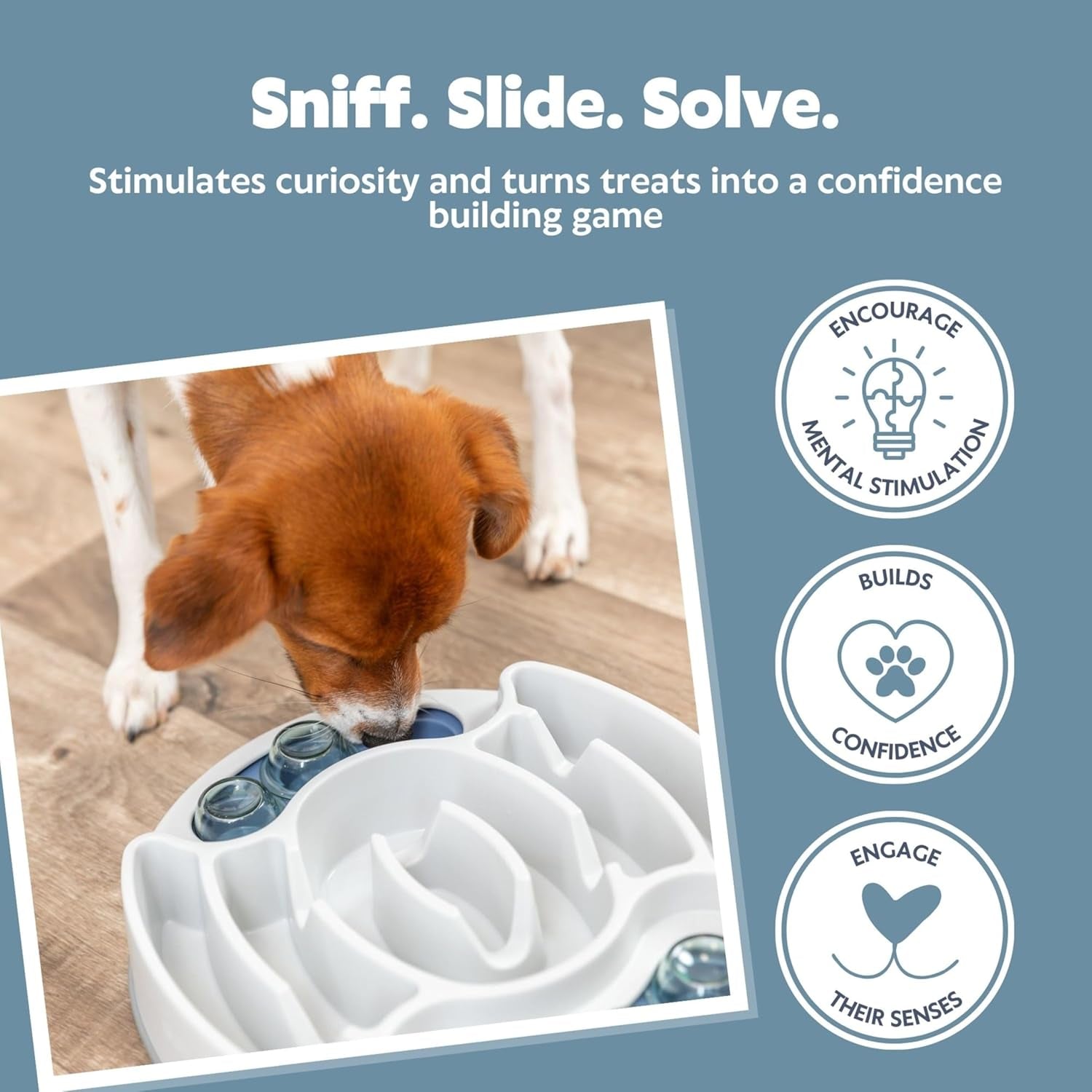 Engaging Slide & Feed Dog Activity Toy - Level 1 Food Puzzle for Smart Dogs | Brain Teasing Treat Dispenser for Mental Development and Boredom Busting